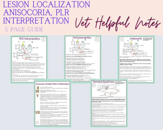 Vet Tech Neurology Study Notes Vet Nurse cheat sheets Vet med study Vet Nurse Gift Vet Tech Graduation gift vet nurse veterinary medicine