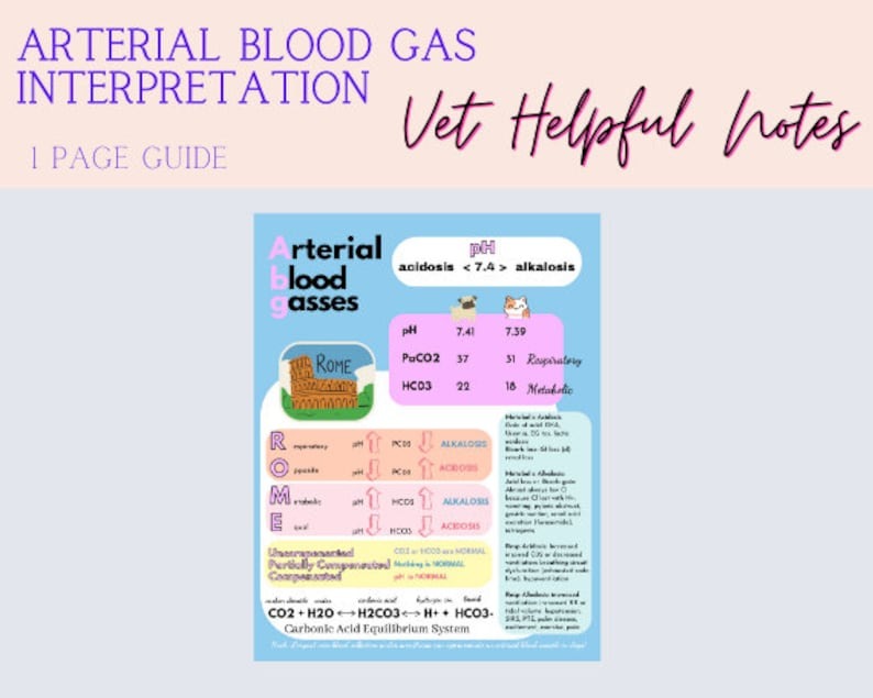 Vet Tech Blood gas notes vet med notes emergency vet nurse gift graduation vet nurse ER vet med vet tech cheat sheets veterinary medicine