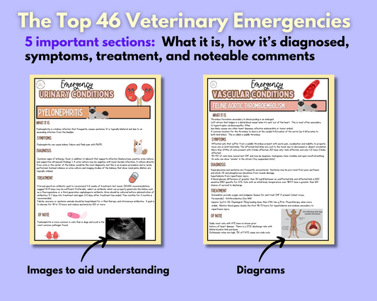 Veterinary Emergency Bundle - 46 Common Emegencies & How to Treat Them