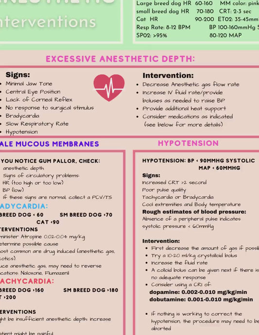 Veterinary Anesthesia- Intervention for Complications, Vet Tech, VTNE, Vet Med study guide