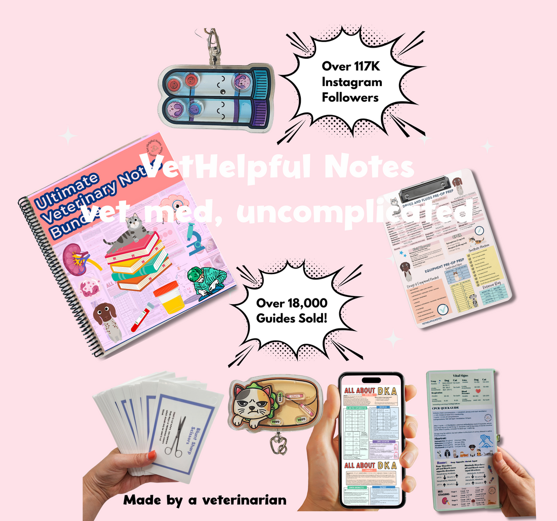 VetHelpful Notes – Vet Helpful Notes